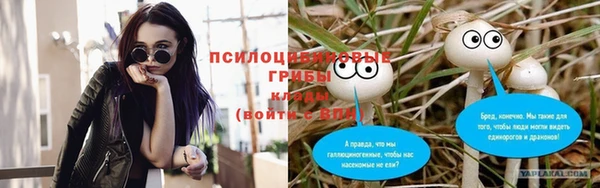 молекула духа Беломорск