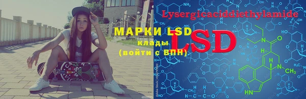 соль ск Белокуриха