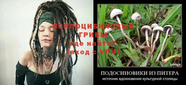 соль ск Белокуриха
