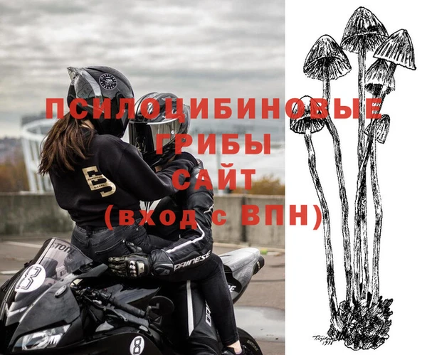 соль ск Белокуриха