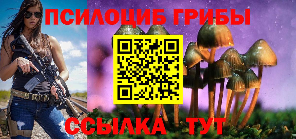Галлюциногенные грибы Psilocybe Валуйки